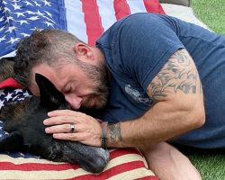 Navy SEAL Drapes Flag Over His Dying K9 Partner & Hugs Him In His Final Moments
