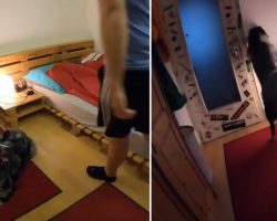 Dad Leaves Dog Alone, And Dog Is Recorded Hitting The Lights & Tucking Into Bed