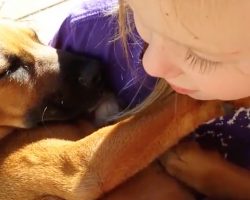 Little Girl Improvises Adorable Lullaby While Holding Her Rescue Dog