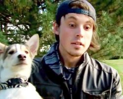 Man Travels 1,500 Miles To Adopt Dog, But Doesn’t Have The Money To Return Home