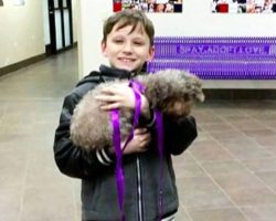 Little Boy Shows Heart By Choosing Oldest Dog In The Shelter Whom No One Wanted