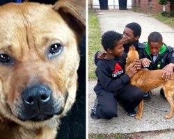 Owner Tries To Suffocate Dog Using Bungee Cord, But Kids Find Her Just In Time