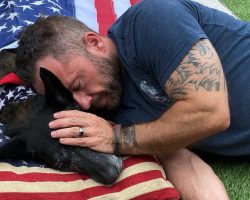 Navy SEAL Says Goodbye To Longtime K9 Partner And Friend