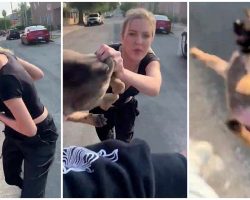 Unhinged Lady Hurls Puppy At Man During Racist Rant, Man Decides To Keep Him