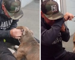 Man Sees Lost Dog On Video 200 Days Later, Makes 1,200-Mile Trip To Get Him