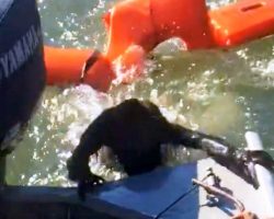 Fisherman Throws Life Jacket To Save Drowning Dog, But It’s “Not A Dog At All”