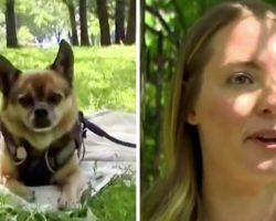 Woman Sees A Couple Walking Her Stolen Dog, Walks Up And Snatches Her Dog Back
