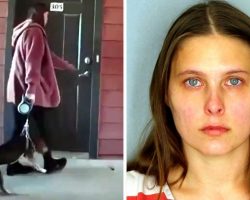 Woman Flings Dog In The Air By His Leash And Slams Him Hard On Concrete Floor