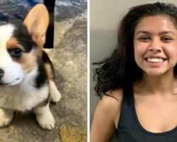 Woman Steals A Family’s Puppy In Broad Daylight, Smiles When She’s Arrested