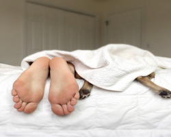 New Study Says, Women Sleep Better With Their Dogs