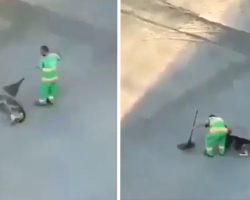 Street Sweeper Comes Across Stray Dog And Proceeds To Make Her Day