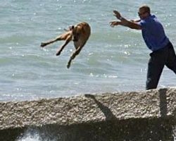 Psycho Rips Mother Dog Away From Her Puppies And Chucks Her Into The Sea