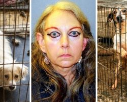 Animal Rescuer Was Running “House Of Horrors”, Kept Dozens Of Animals In Misery