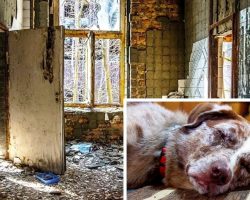 Owners Lock Dog In Tiny Metal Cage And Leave Him In Filthy Apartment For Weeks