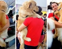 Dog Gets Spooked By The “Scary” Escalator, So Dad Has To Carry Him Like A Baby