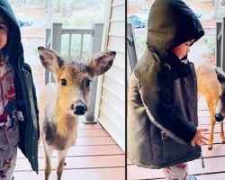 Little Boy Comes Back To The Door After Making A New Friend