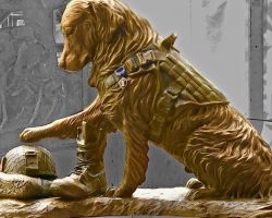 New Sculpture Pays Tribute To Military Working Dogs