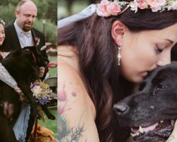 Bride’s Dying Dog Was Carried Down The Aisle, And There Wasn’t A Dry Eye