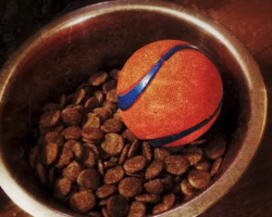 25 Genius Hacks All Dog Owners Need To Know