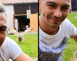 Baby Owl Hears Man Whistling His Favorite Tune, Comes Running Into Man’s Arms