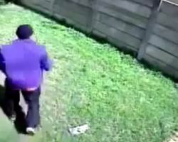 Burglar Tries To Enter A Home, But Gets Chased Off By A “Scary And Vicious” Dog