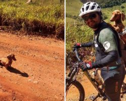 Cyclists Come Across Skinny Dog In The Road, Pick Him Up For A Ride