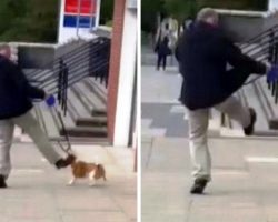 Man Kicks His Dog Around “Like A Football”, Keeps Smashing Him Into Iron Bars