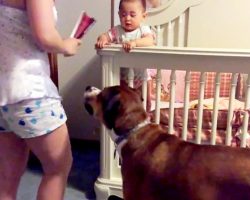 Woman “Attacks” Her Own Baby, But Her Dog Jumps In The Way To Protect The Baby