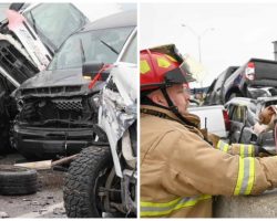 Firefighters Race To Pull Animals From 100-Car Pile-Up Before Explosion