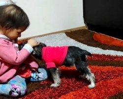 Girl With Cancer Gets Her First Puppy, And The Pup Is Already Helping Her Cope