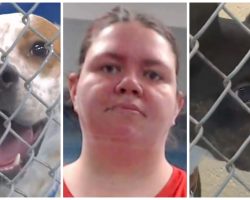 Hateful Woman Moves In With Boyfriend & Leaves Pets Behind With No Food Or Water
