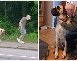 Town Helps Family Keep Their Dog After His Well-Loved Owner Died Unexpectedly