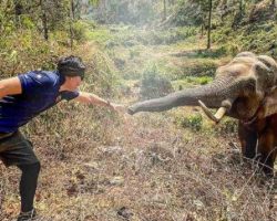 An Elephant Recognizes The Vet Who Saved Him When He Was About To Die 12 Years Ago