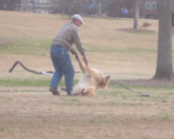 Dog Gives Owner A Hard Time When Trying To Leave The Park