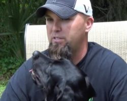 Service Dog Calms Veteran With Survivor Guilt Before He Can Have A Panic Attack