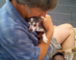 Volunteer Sits In Cage With Dog Who’d Never Felt A Human’s Touch