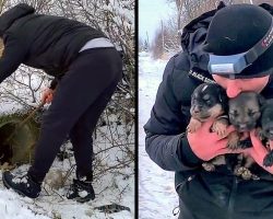 Man Spends Entire Day In The Blizzard Trying To Save Dying Puppies From A Pipe