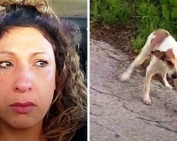 Woman Drives To A “Dog Dumping Ground” At 4 AM And Sees A Dog Staring At Her