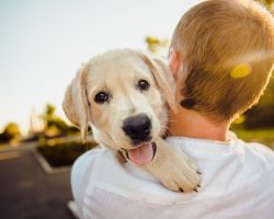 10 Reasons Why Having A Dog Is Good For Your Mental Health