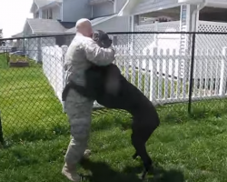 Dog Goes Nuts in Welcoming Military Dad