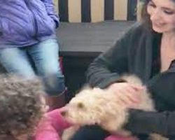 Dog Reunited with Family Gets So Happy After She Recognizes Their Scent