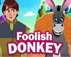 Foolish Donkey