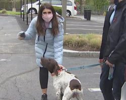 Reporter Busts Accused Dognapper on Live TV