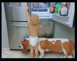 Baby Wants A Snack But He’s Too Short To Reach, His Solution Has Mom Cracking Up