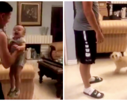 Boy Films Dad Throwing Baby In The Air and Dies Laughing At Dog’s Reaction