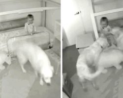 Mom Wonders How Baby Escaped Her Room, Sees Baby Cam Footage & Bursts Out Laughing