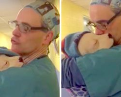 Puppy Feels Scared & Confused After Surgery, So Vet Sings To Her & Comforts Her