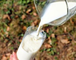 Story: A Glass of Milk