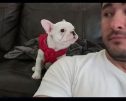 He Tells His Puppy How Handsome He is– His Puppy’s Reply Couldn’t Be Cuter