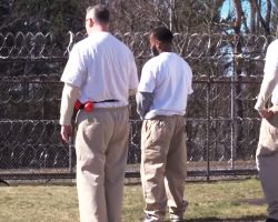 Most People Would Be Taken Aback By What Inmates Are Doing With These Dogs